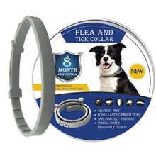 Carregar imagem no visualizador da galeria, Dropshipping Bayer Seresto 8 Month Flea &amp; Tick Prevention Collar for Cats Mosquitoes Repellent Insect Control Collar Mosquitoes